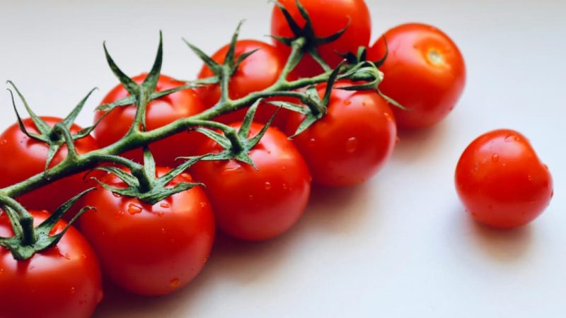   La tomate, un trésor rouge pour la santé